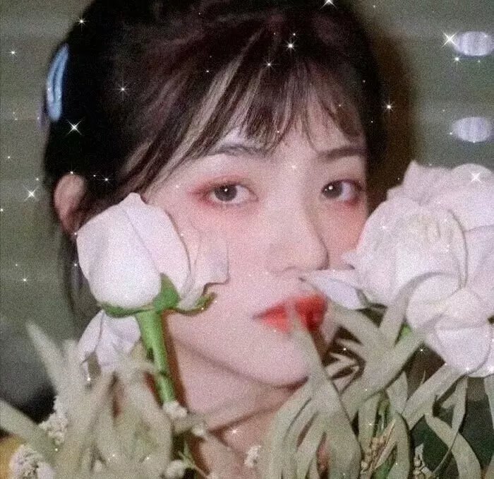 山茶花飘零